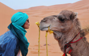 5 Days Tour from Fes to Marrakech: Erg Chigaga Dunes, Free Day and Ait Benhaddou