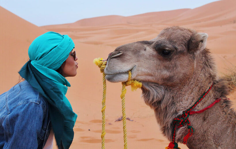 5 Days Tour from Fes to Marrakech: Erg Chigaga Dunes, Free Day and Ait Benhaddou
