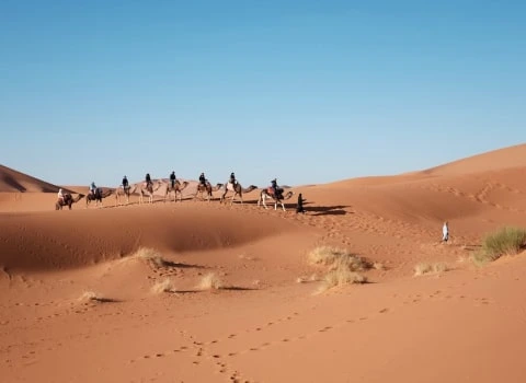 2 Days 1 Night Desert experience from Mhamid to Erg lihoudi desert