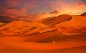 4 Days Desert Tour from Agadir to Marrakech: 2 Nights in Erg Chigaga