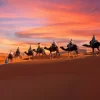 morocco desert tour experience