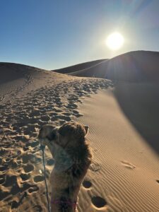 2 days 1 Night Foum Zguid Desert Tours