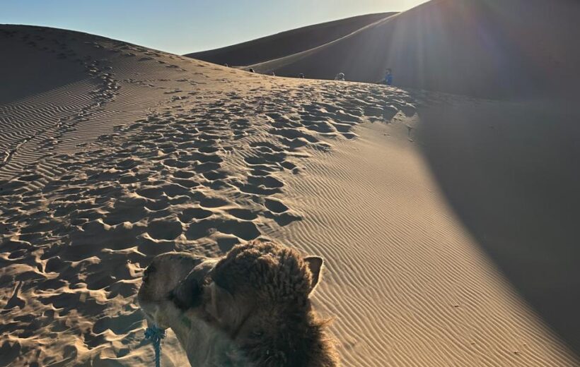 2 days 1 Night Foum Zguid Desert Tours